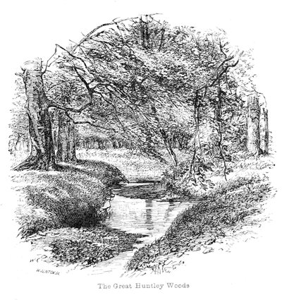 View in the Great Huntley Woods by Walter Crane
